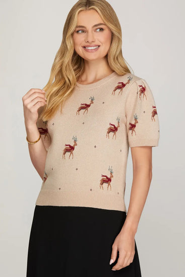 Oh Deer Knit Sweater Top