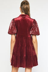 Red Wine Velvet Dress